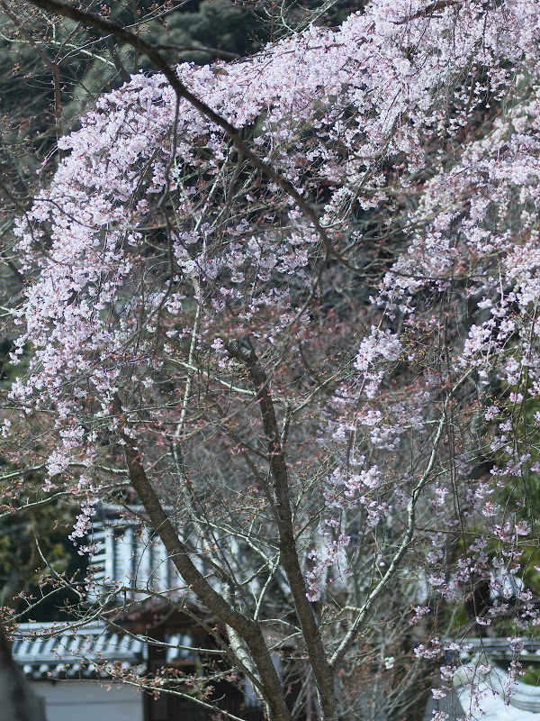 b0138101_16170645.jpg