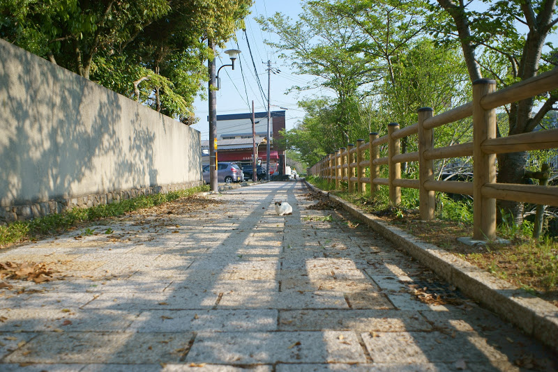 b0138101_16180800.jpg