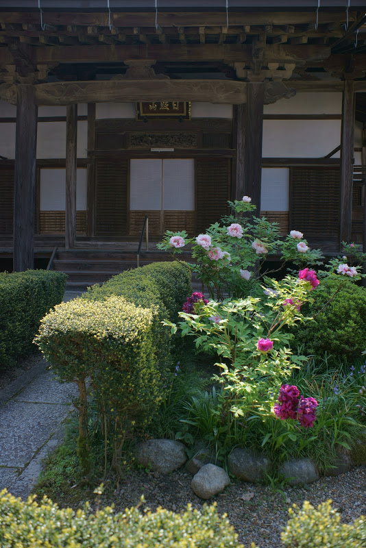 b0138101_16181294.jpg