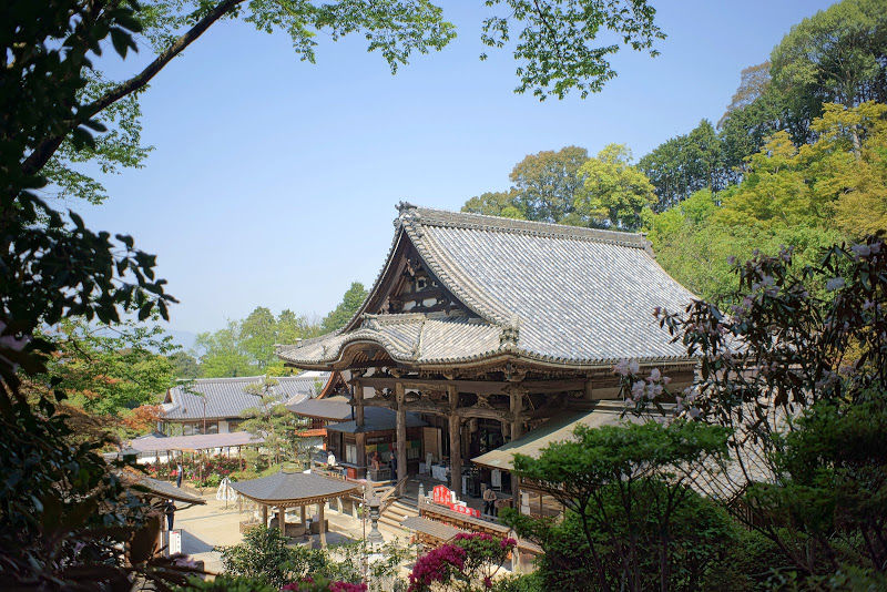 初夏のような陽気 ～　奈良県明日香村 ⑤_b0138101_16181616.jpg