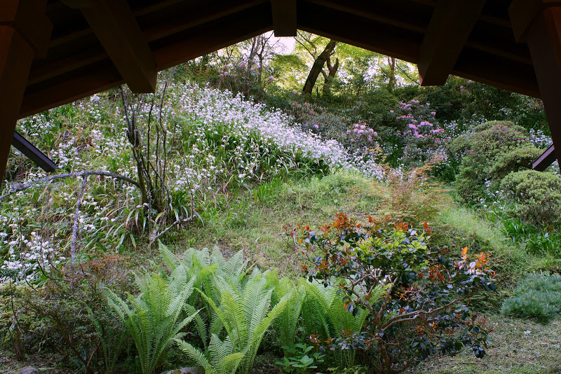 初夏のような陽気 ～　奈良県明日香村 ⑤_b0138101_16181685.jpg