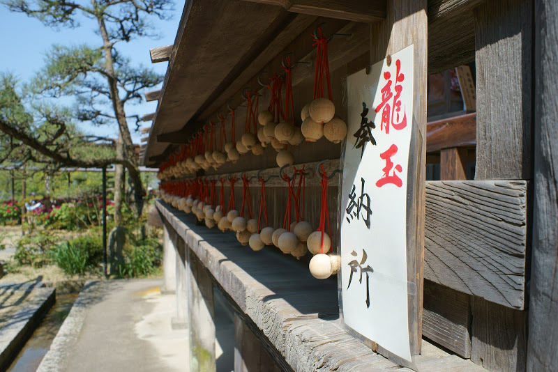 初夏のような陽気 ～　奈良県明日香村 ⑤_b0138101_16181694.jpg