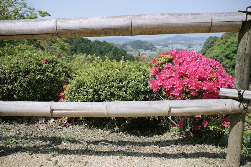 初夏のような陽気 ～　奈良県明日香村 ⑤_b0138101_16181703.jpg