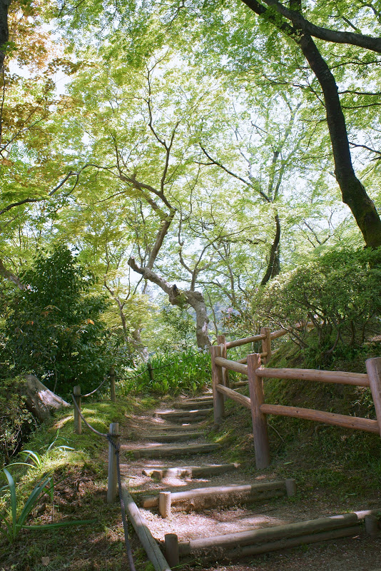 初夏のような陽気 ～　奈良県明日香村 ⑤_b0138101_16181763.jpg