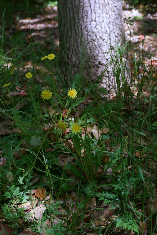 b0138101_16351299.jpg