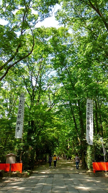 a0224502_16544249.jpg