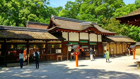 a0224502_16552873.jpg