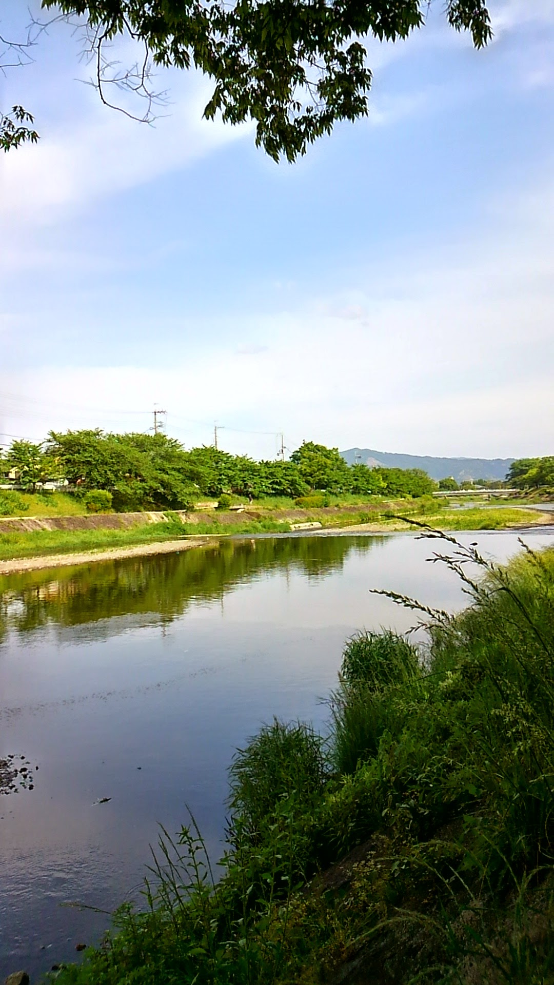 a0224502_17121811.jpg