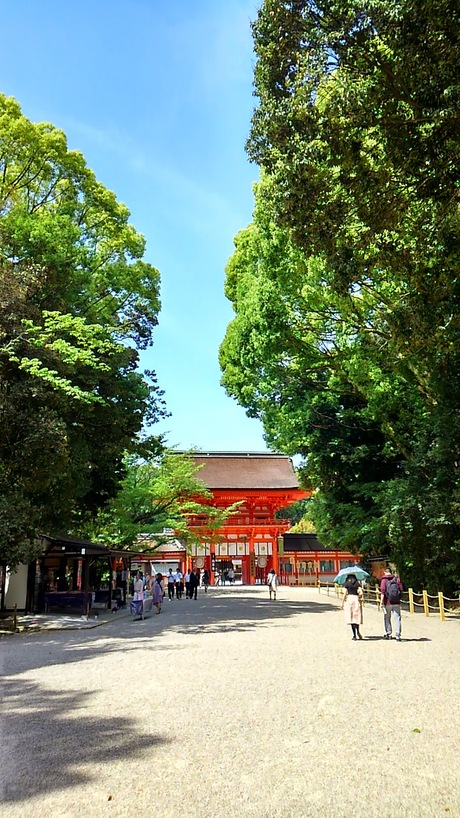 a0224502_1761535.jpg