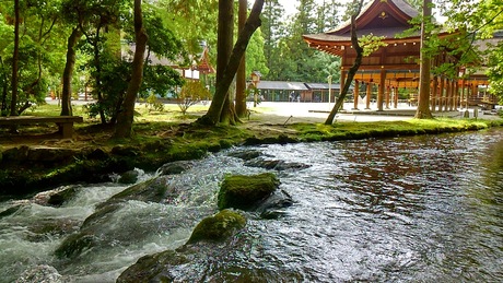 a0224502_1794816.jpg