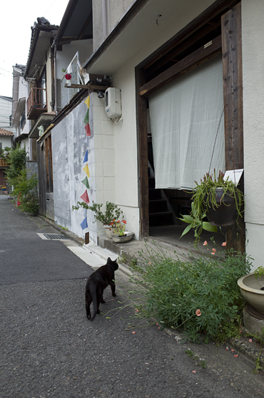 ５月半ばとなりました　晴れ女記録更新_c0069903_12385723.jpg