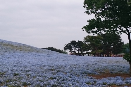 c0128303_10363013.jpg