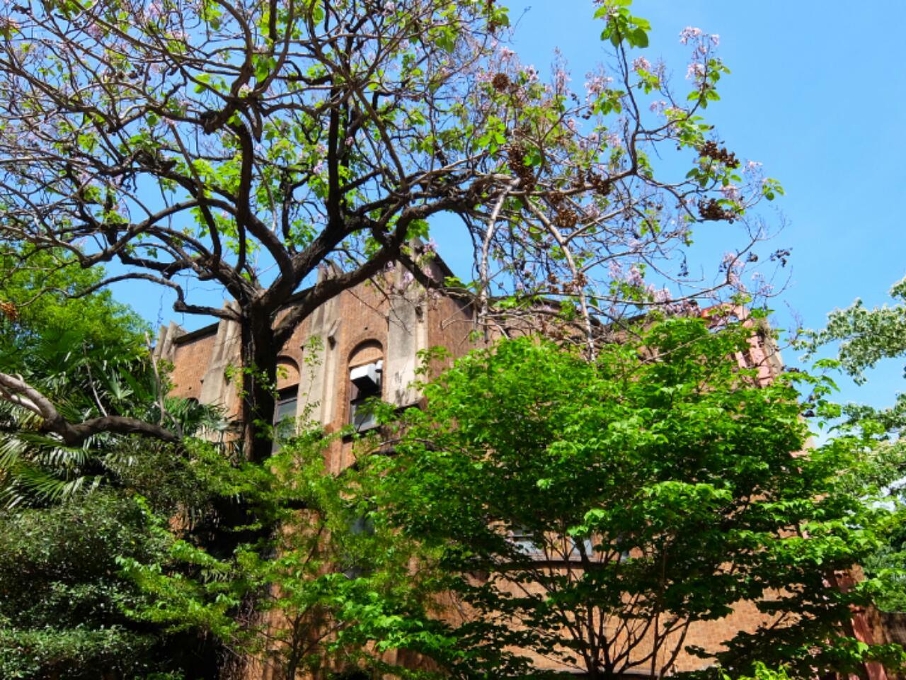 《東京の旅》東京大学さんぽ♪～歴史的建造物の宝庫～_b0344006_11151688.jpg