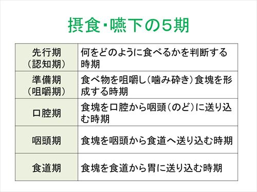 間違った高齢者の嚥下食_f0299108_16124917.jpg