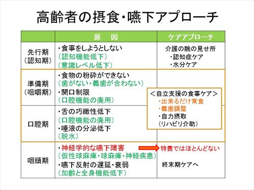 間違った高齢者の嚥下食_f0299108_1622179.jpg