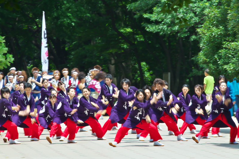 ２０１２年　よさこい祭り　in　光が丘公園　６th   東京都練馬区_c0158519_11052563.jpg