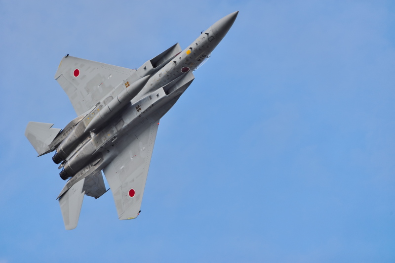 航空自衛隊入間基地航空祭　　Vol.4　　　F-15_c0158519_11062484.jpg