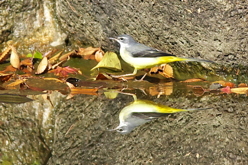 c0158519_11085633.jpg