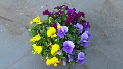 f0339422_22335410.jpg