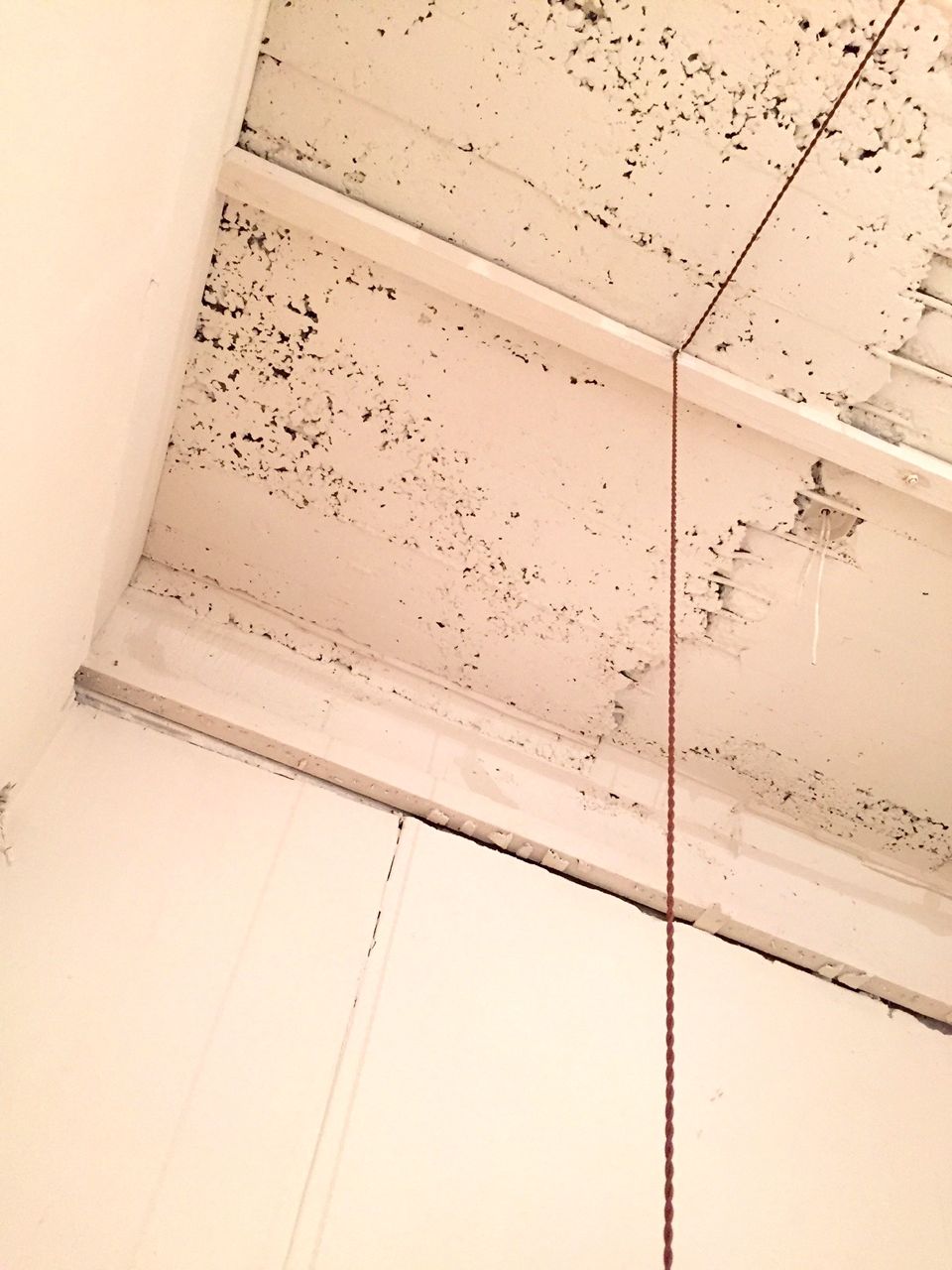 沖潤子作品集『PUNK』 : 丘の上から通信