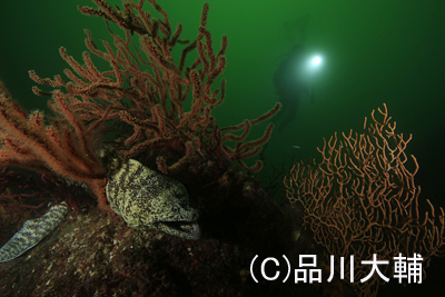 色味_b0163039_16373913.jpg