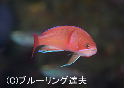 色味_b0163039_16382138.jpg