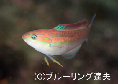 色味_b0163039_1639043.jpg