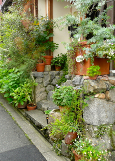 b0325640_1552476.jpg