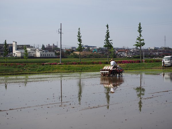 2015年5月19日　田植えのころ_b0341140_18315655.jpg