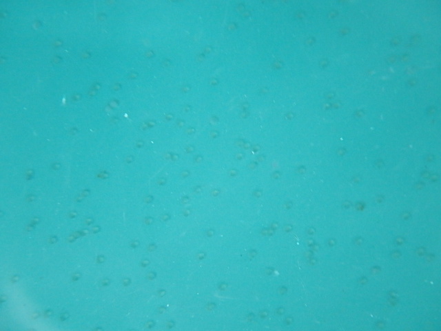 f0334143_18261730.jpg