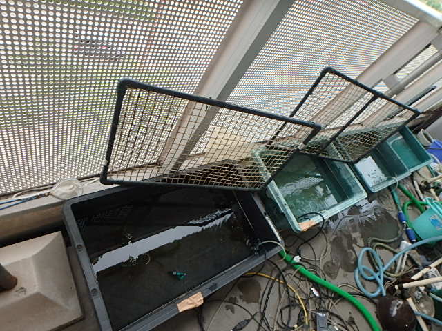 f0334143_1827391.jpg