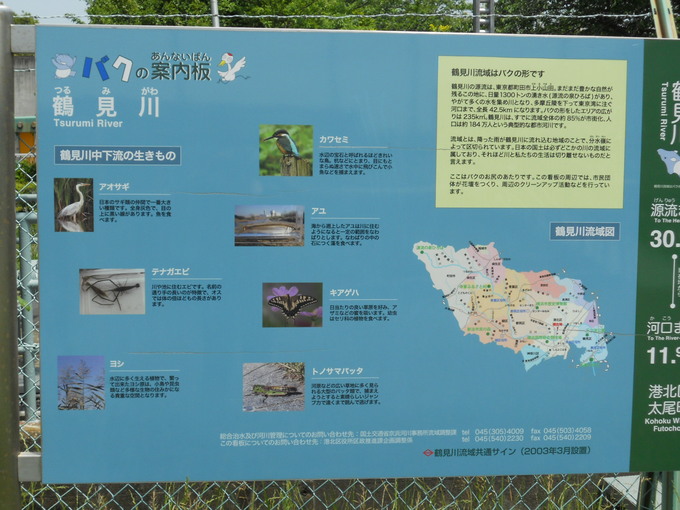 風薫る緑の中を走って。_f0172744_0154178.jpg