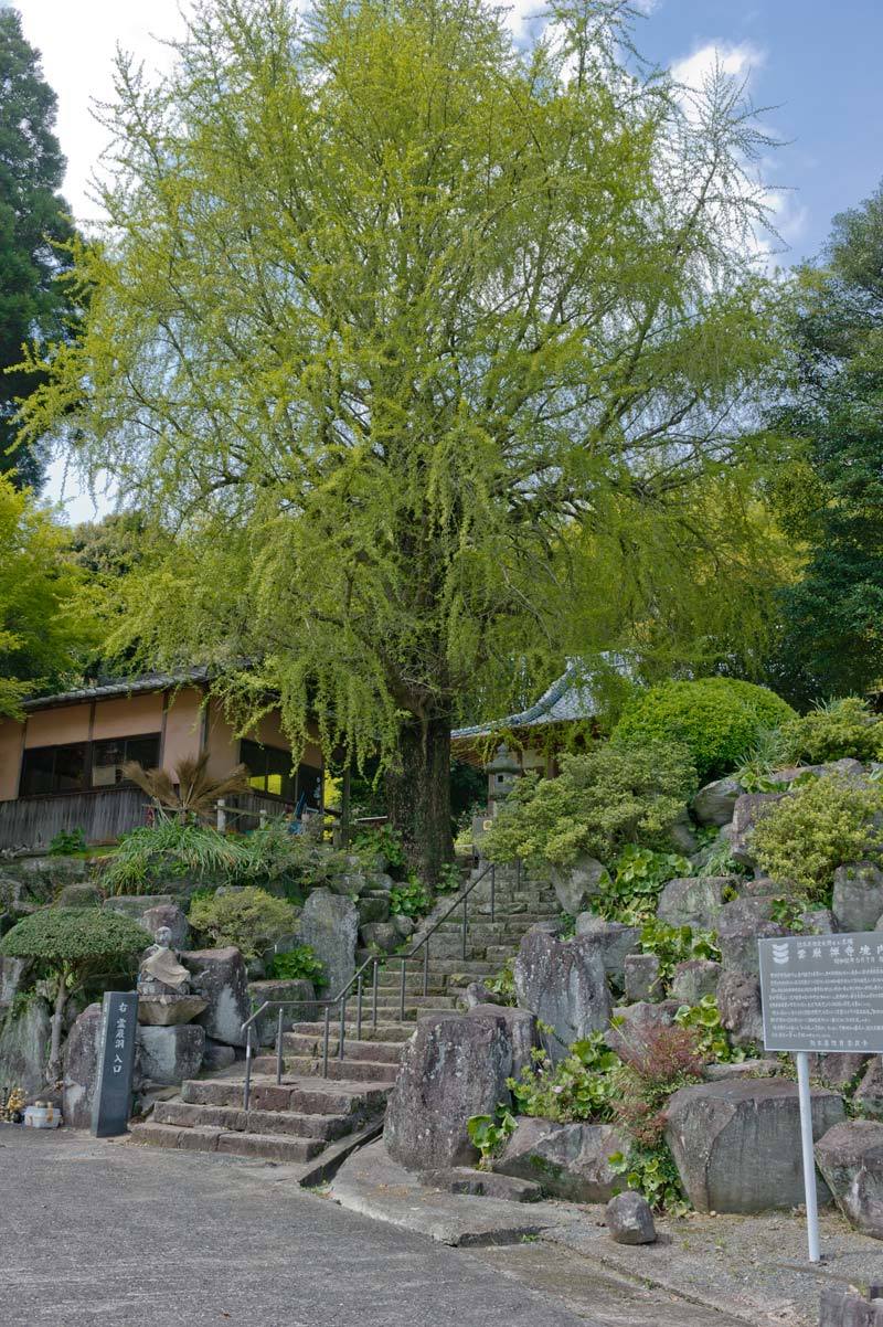 雲巌禅寺 五百羅漢 霊巌洞 熊本県熊本市西区 空 Sora そら 雲巌禅寺 五百羅漢 霊巌洞 熊本県熊本市西区 空 Sora そら