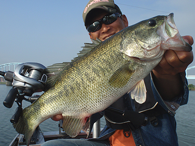 b0177760_035150.jpg