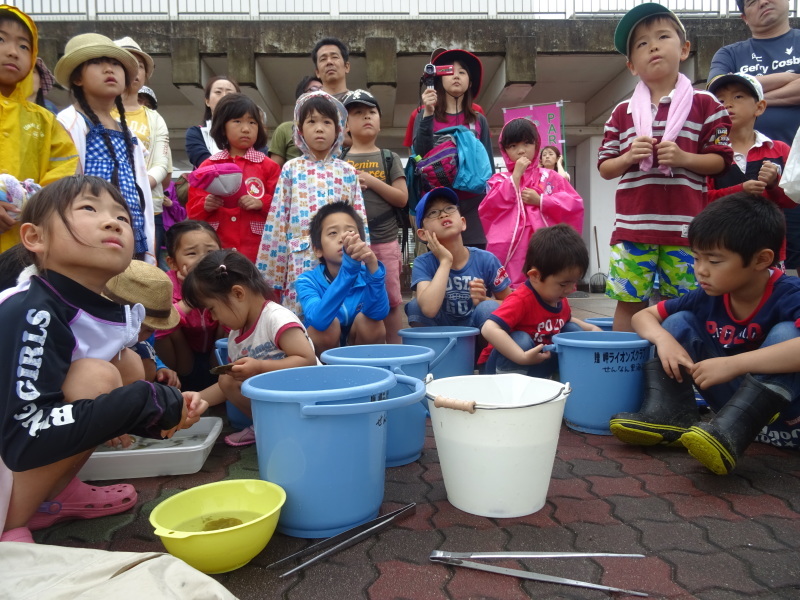 『第８回大阪湾生き物一斉調査』　in 　せんなん里海公園人工磯浜砂浜海岸_c0108460_22453399.jpg