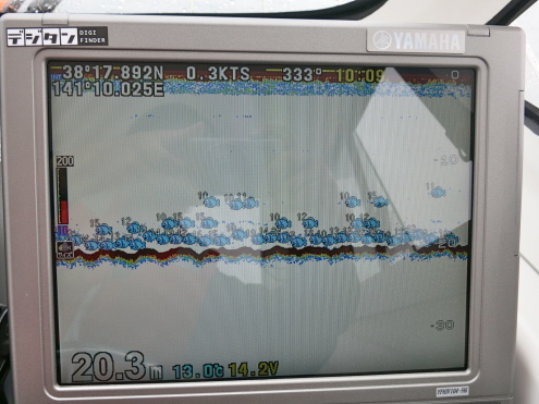 雨のち、カレイ、カレイ、カレイ。。。ちょこっとサバ_c0260460_21092568.jpg