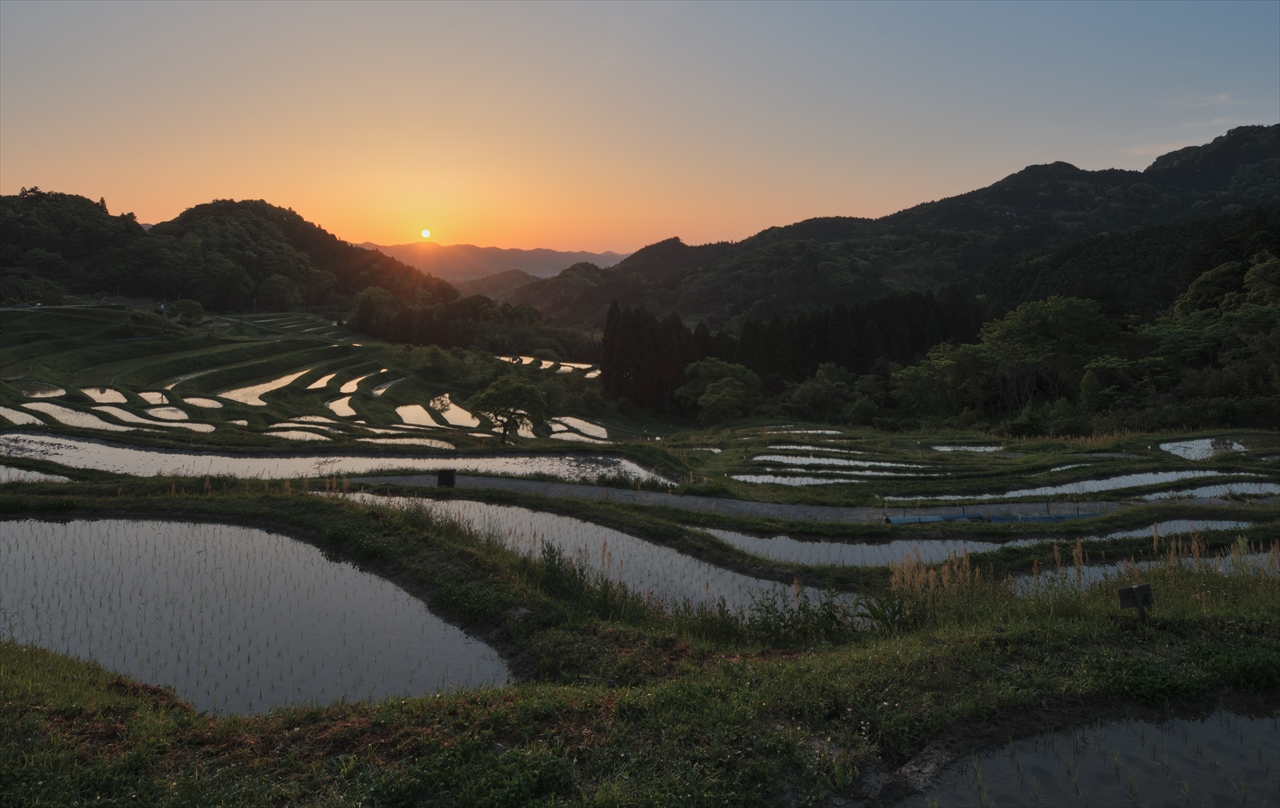 初夏の大山千枚田　２_f0018464_1755691.jpg