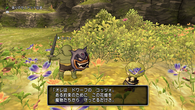 Dragon Quest X 眠れる勇者と導きの盟友 その 日々ゲームあるのみ