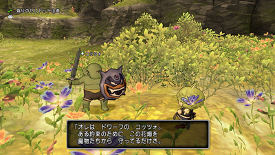 Dragon Quest X 眠れる勇者と導きの盟友 その 日々ゲームあるのみ Dragon Quest X 眠れる勇者と導きの盟友 その 日々ゲームあるのみ