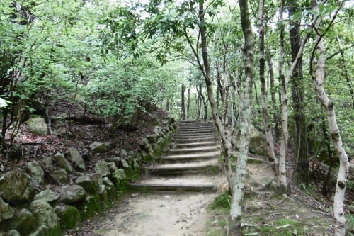 バラウィークの北山緑地植物園_f0205367_19260061.jpg