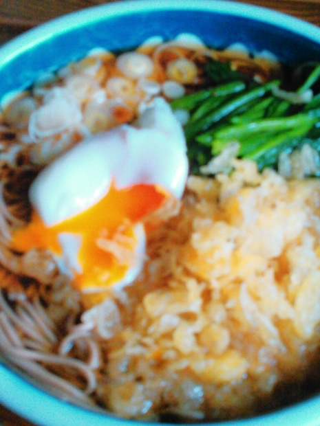 鰯のみりん干しとたぬき_c0162773_00485116.jpg