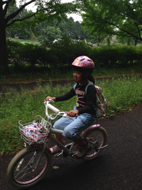 CYCLING_c0023278_18514339.png