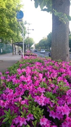 c0325278_12192381.jpg