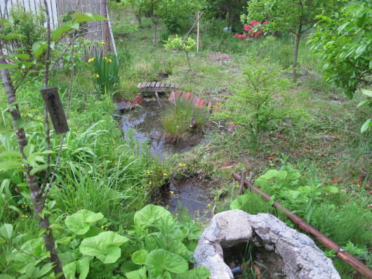 e0266183_11595431.jpg