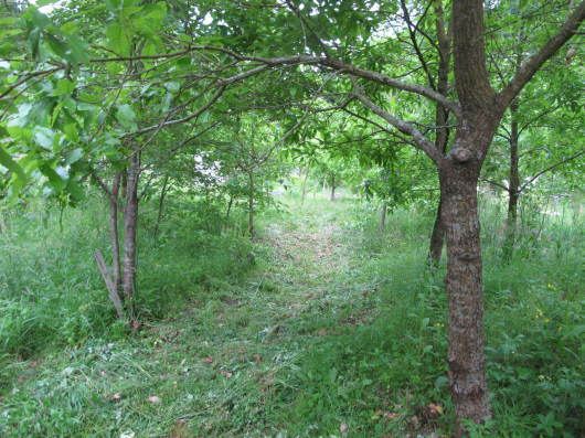 e0266183_12114407.jpg