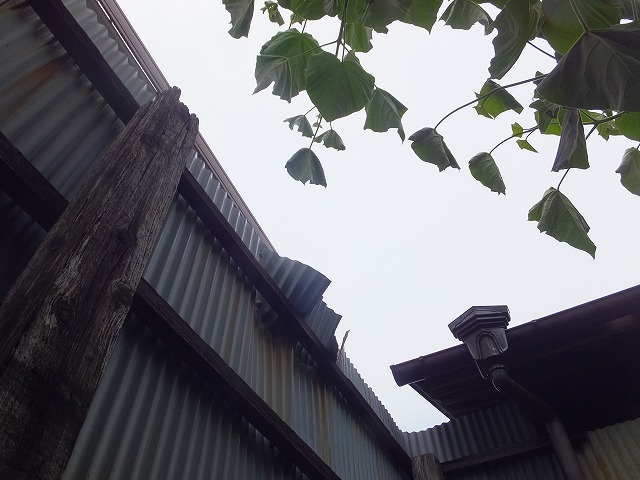 b0317485_16092663.jpg