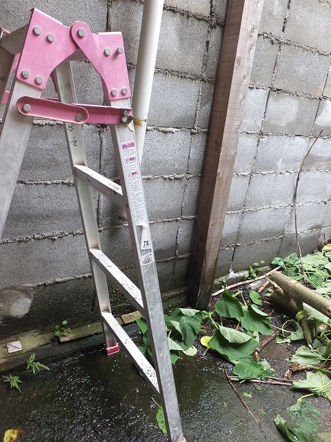 b0317485_16181499.jpg