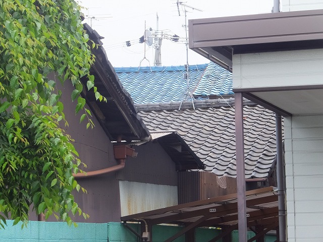 b0317485_16284624.jpg