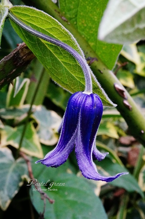f0352792_11334055.jpg