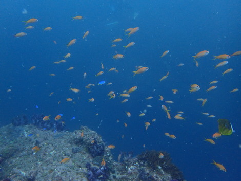 e0115199_21590179.jpg